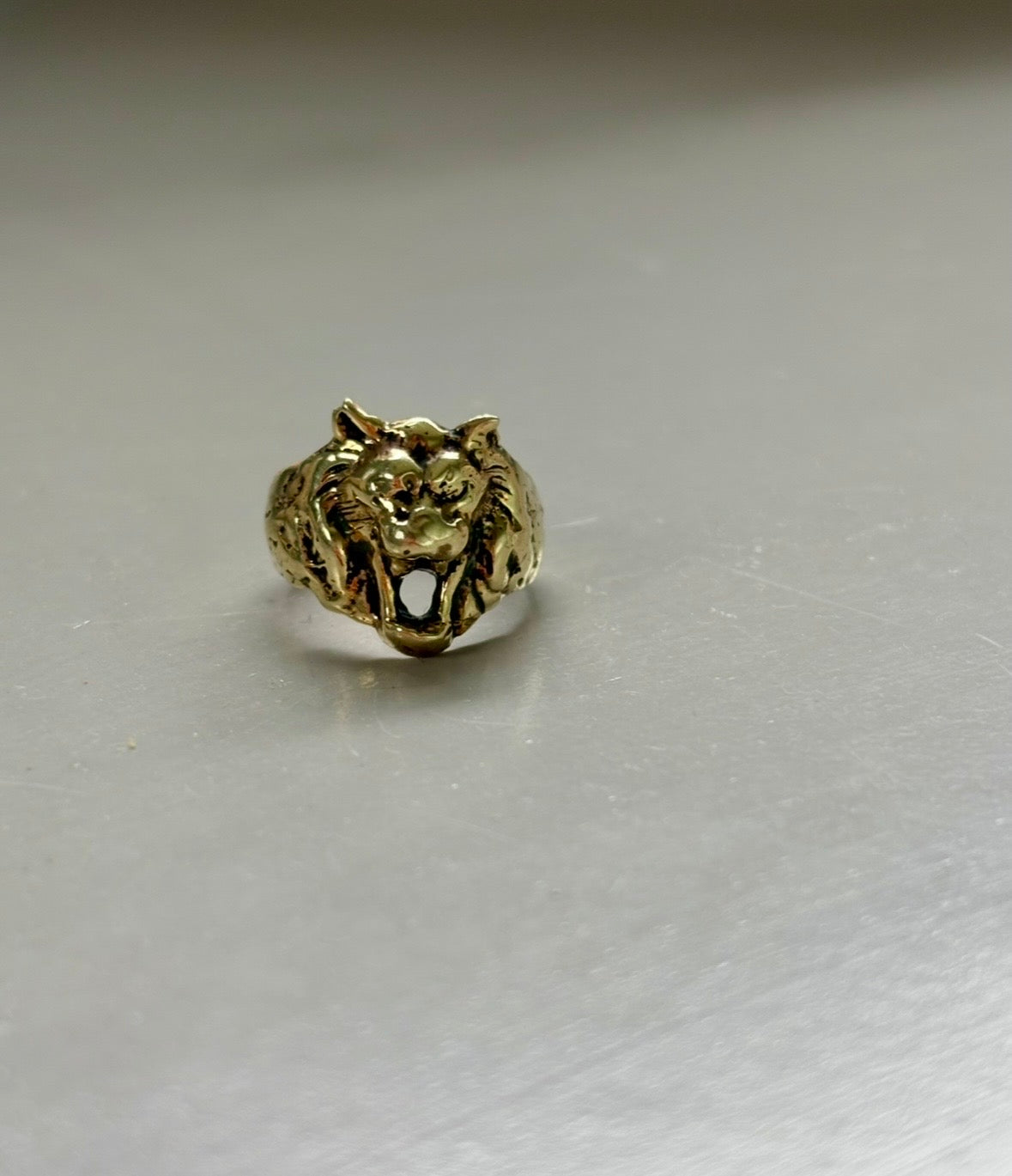 Anillo FIERA