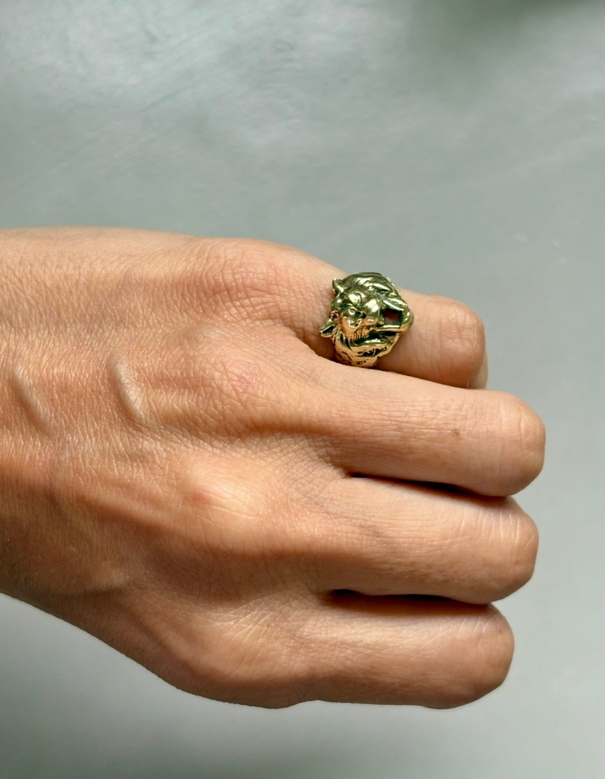 Anillo FIERA